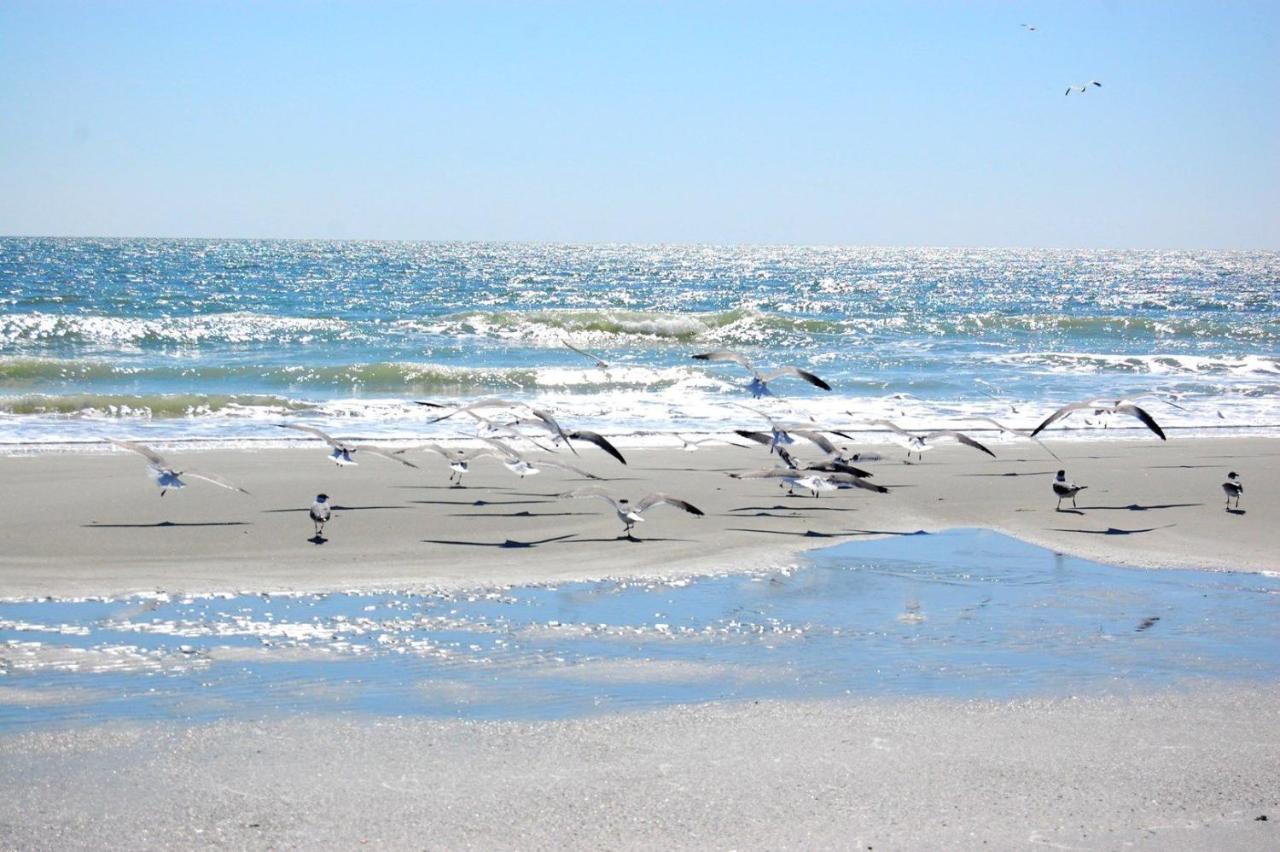 Apartamento Mariners Cove 227 C Myrtle Beach Exterior foto